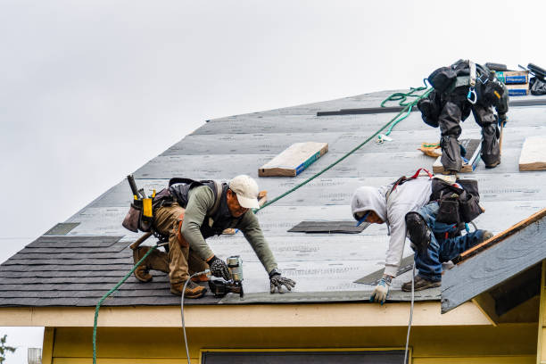 Professional Roofing technician working in Long Creek, IL